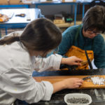 Centre d'accueil de jour pour adultes handicapes 49